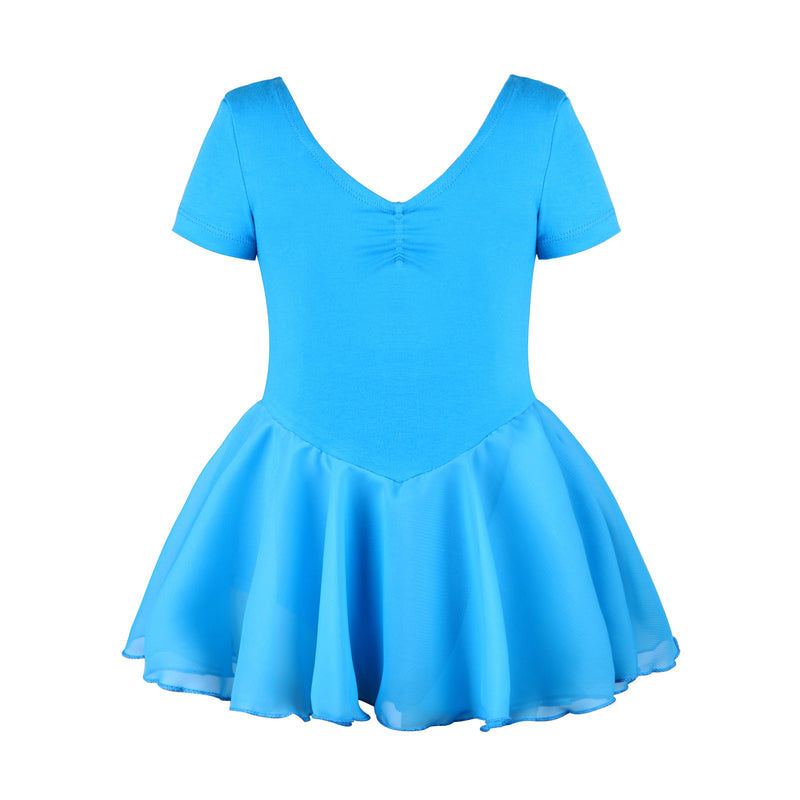 Chiffon Skirted Dance Dress