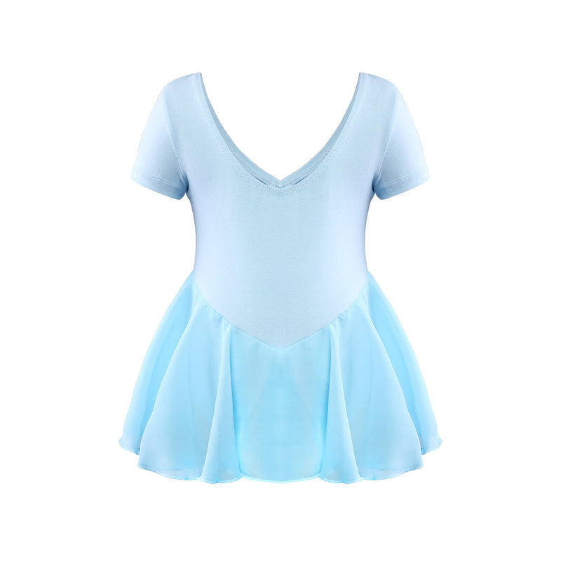 Chiffon Skirted Dance Dress