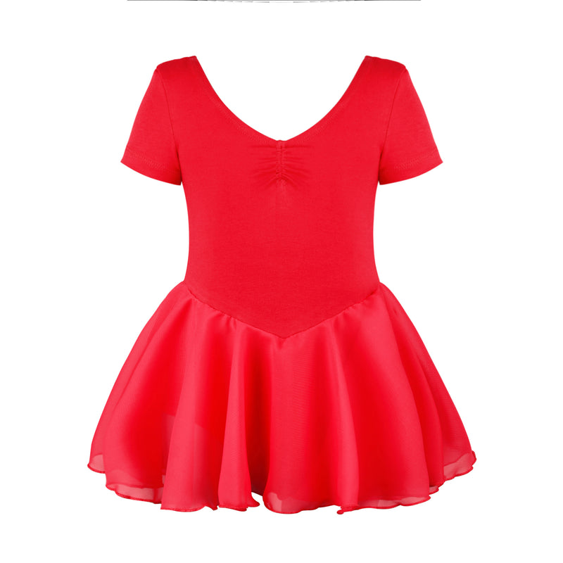 Chiffon Skirted Dance Dress