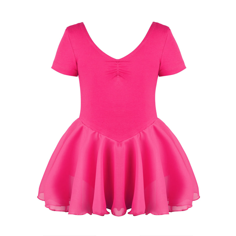 Chiffon Skirted Dance Dress