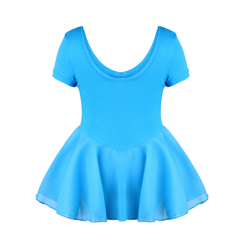 Chiffon Skirted Dance Dress