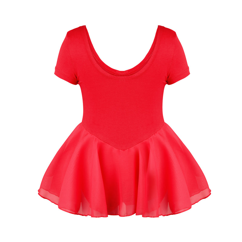 Chiffon Skirted Dance Dress