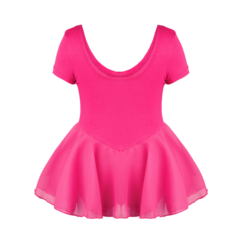 Chiffon Skirted Dance Dress