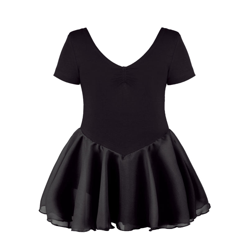 Chiffon Skirted Dance Dress