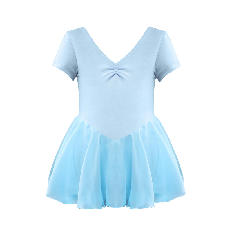 Chiffon Skirted Dance Dress